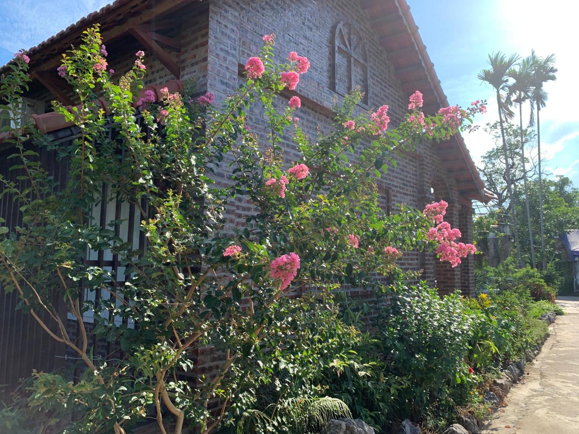Dinh Gia Home Villa & Resort Ninh Binh Eksteriør bilde